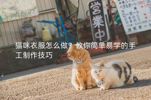 猫咪衣服怎么做？教你简单易学的手工制作技巧