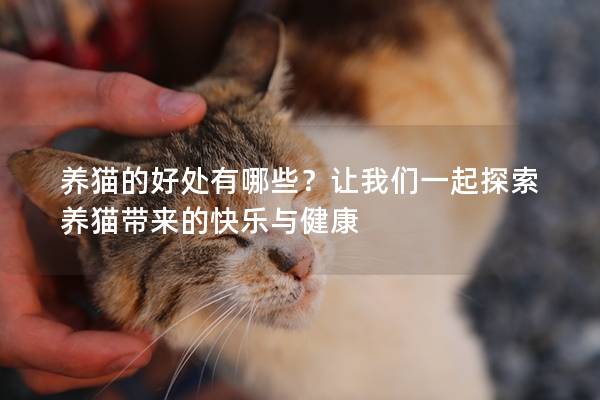 养猫的好处有哪些？让我们一起探索养猫带来的快乐与健康