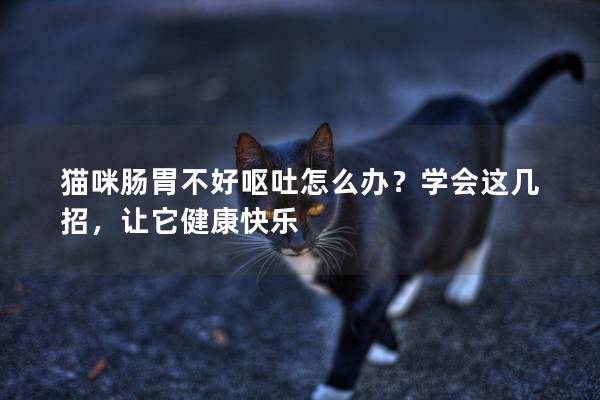 猫咪肠胃不好呕吐怎么办？学会这几招，让它健康快乐