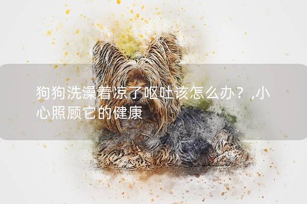 狗狗洗澡着凉了呕吐该怎么办？,小心照顾它的健康