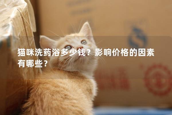 猫咪洗药浴多少钱？影响价格的因素有哪些？