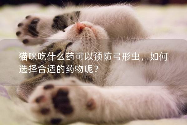 猫咪吃什么药可以预防弓形虫，如何选择合适的药物呢？