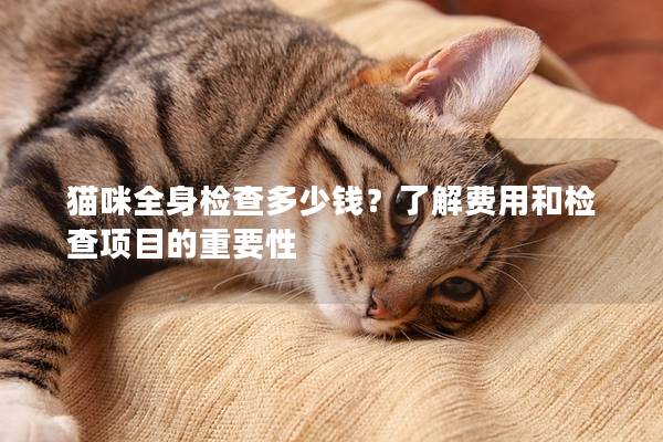 猫咪全身检查多少钱？了解费用和检查项目的重要性