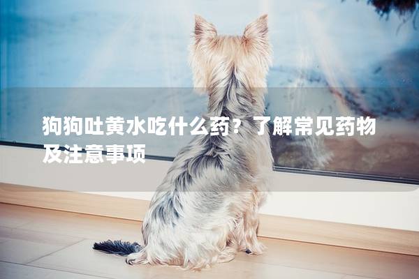 狗狗吐黄水吃什么药？了解常见药物及注意事项