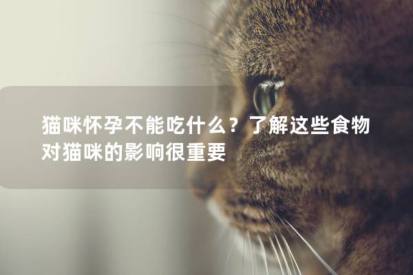 猫咪怀孕不能吃什么？了解这些食物对猫咪的影响很重要