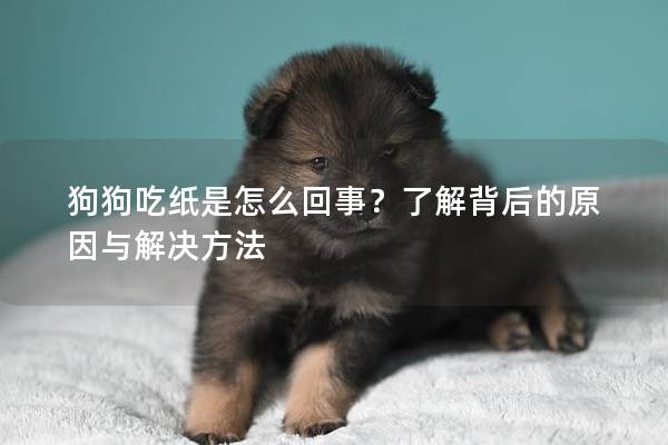 狗狗吃纸是怎么回事？了解背后的原因与解决方法