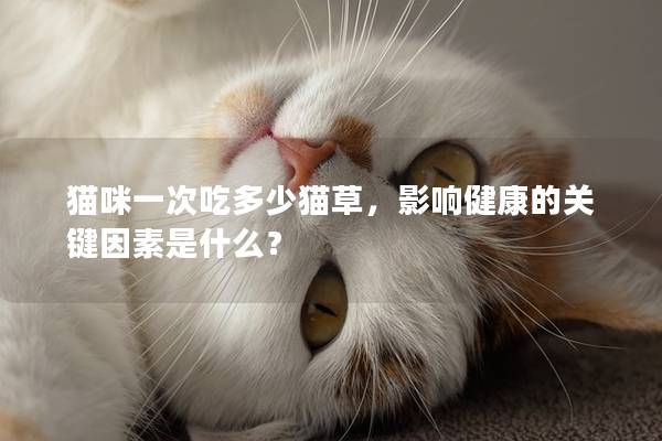 猫咪一次吃多少猫草，影响健康的关键因素是什么？