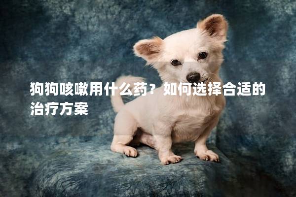 狗狗咳嗽用什么药？如何选择合适的治疗方案