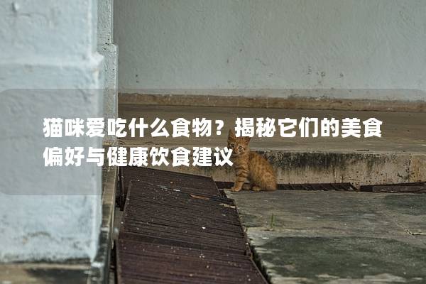 猫咪爱吃什么食物？揭秘它们的美食偏好与健康饮食建议