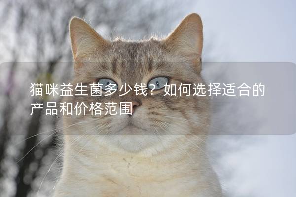 猫咪益生菌多少钱？如何选择适合的产品和价格范围