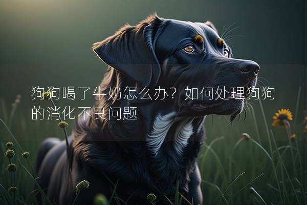 狗狗喝了牛奶怎么办？如何处理狗狗的消化不良问题