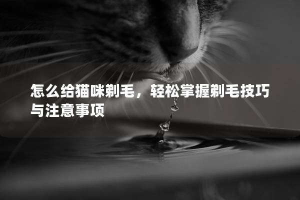 怎么给猫咪剃毛，轻松掌握剃毛技巧与注意事项