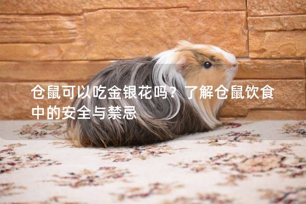 仓鼠可以吃金银花吗?了解仓鼠饮食中的安全与禁忌 仓鼠可以吃金银花吗?了解仓鼠饮食中的安全与禁忌
