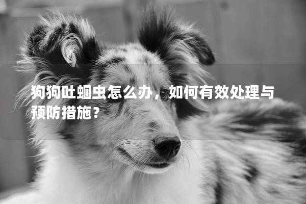 狗狗吐蛔虫怎么办，如何有效处理与预防措施？