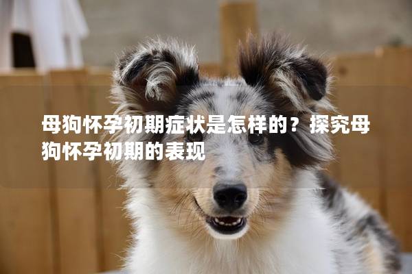 母狗怀孕初期症状是怎样的？探究母狗怀孕初期的表现