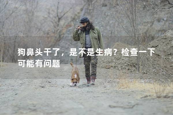 狗鼻头干了，是不是生病？检查一下可能有问题