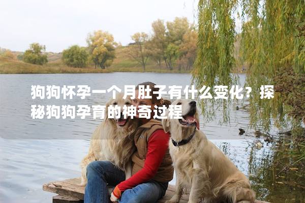 狗狗怀孕一个月肚子有什么变化？探秘狗狗孕育的神奇过程