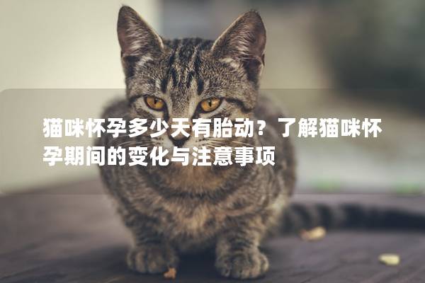 猫咪怀孕多少天有胎动？了解猫咪怀孕期间的变化与注意事项