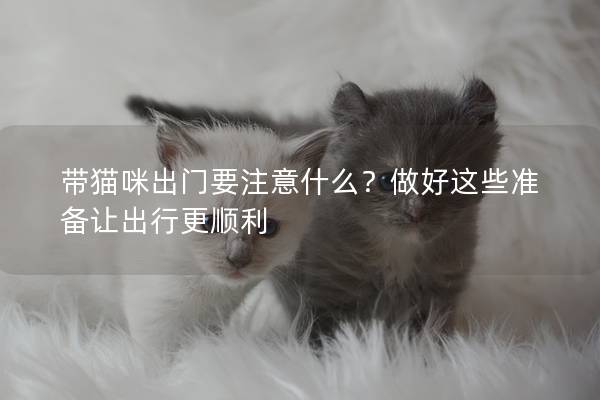 带猫咪出门要注意什么？做好这些准备让出行更顺利