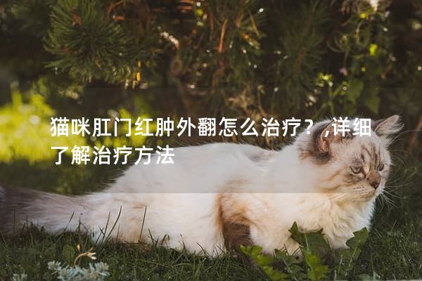 猫咪肛门红肿外翻怎么治疗？,详细了解治疗方法