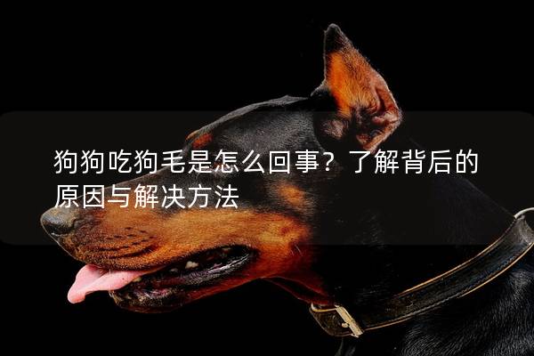 狗狗吃狗毛是怎么回事？了解背后的原因与解决方法