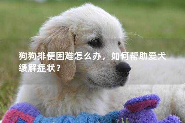 狗狗排便困难怎么办，如何帮助爱犬缓解症状？