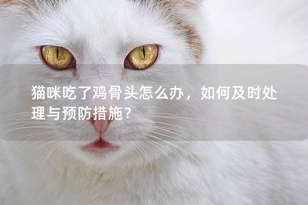 猫咪吃了鸡骨头怎么办，如何及时处理与预防措施？