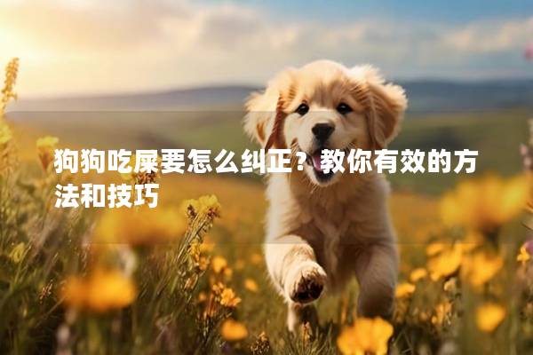 狗狗吃屎要怎么纠正？教你有效的方法和技巧