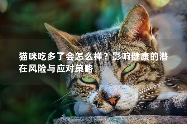 猫咪吃多了会怎么样？影响健康的潜在风险与应对策略