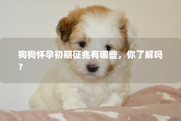 狗狗怀孕初期征兆有哪些，你了解吗？