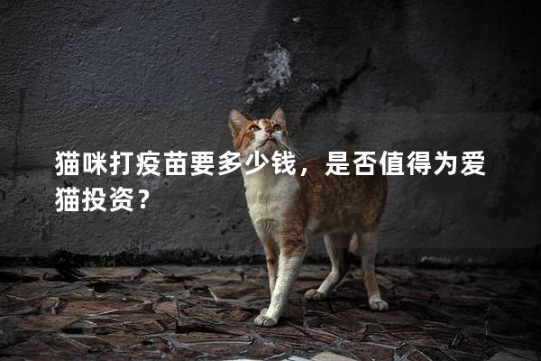 猫咪打疫苗要多少钱，是否值得为爱猫投资？