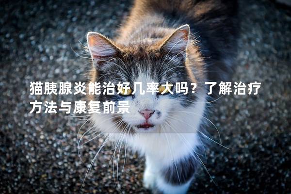 猫胰腺炎能治好几率大吗？了解治疗方法与康复前景