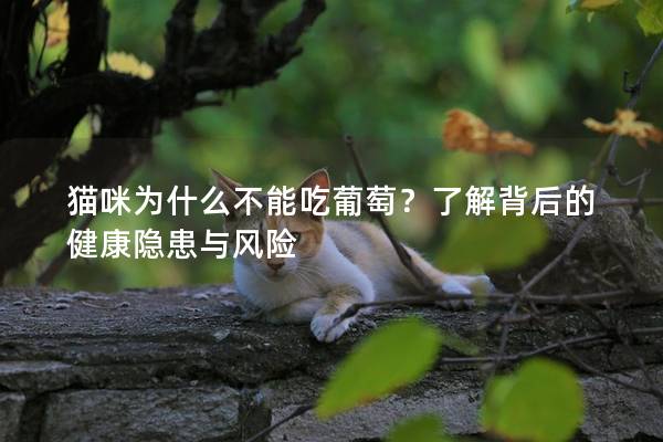 猫咪为什么不能吃葡萄？了解背后的健康隐患与风险