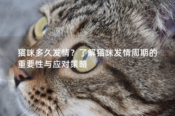 猫咪多久发情？了解猫咪发情周期的重要性与应对策略