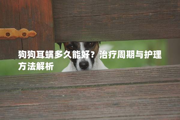 狗狗耳螨多久能好？治疗周期与护理方法解析