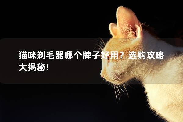 猫咪剃毛器哪个牌子好用？选购攻略大揭秘!