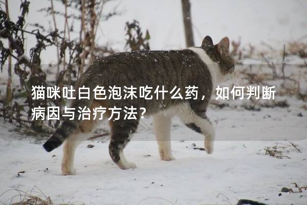 猫咪吐白色泡沫吃什么药，如何判断病因与治疗方法？