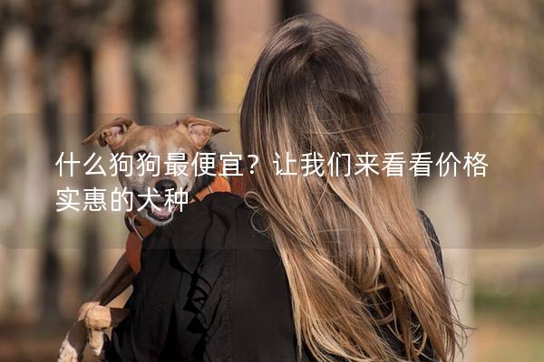 什么狗狗最便宜？让我们来看看价格实惠的犬种