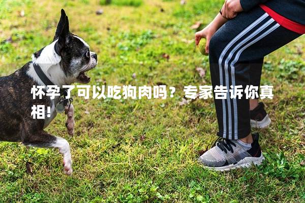 怀孕了可以吃狗肉吗？专家告诉你真相!