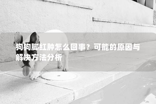 狗狗脚红肿怎么回事？可能的原因与解决方法分析