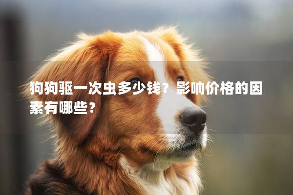 狗狗驱一次虫多少钱？影响价格的因素有哪些？