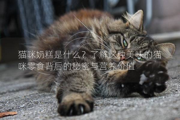 猫咪奶糕是什么？了解这种美味的猫咪零食背后的秘密与营养价值