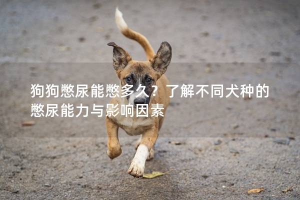 狗狗憋尿能憋多久？了解不同犬种的憋尿能力与影响因素