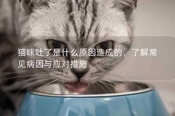 猫咪吐了是什么原因造成的，了解常见病因与应对措施