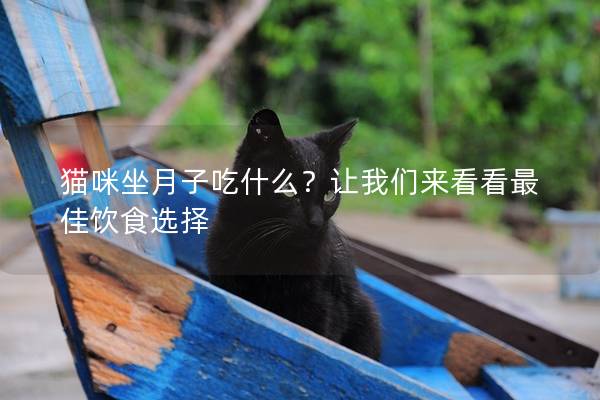 猫咪坐月子吃什么？让我们来看看最佳饮食选择