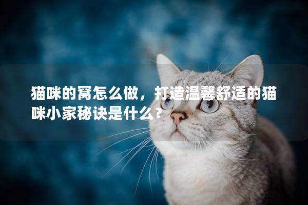 猫咪的窝怎么做，打造温馨舒适的猫咪小家秘诀是什么？