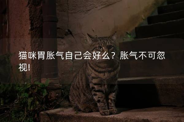 猫咪胃胀气自己会好么？胀气不可忽视!