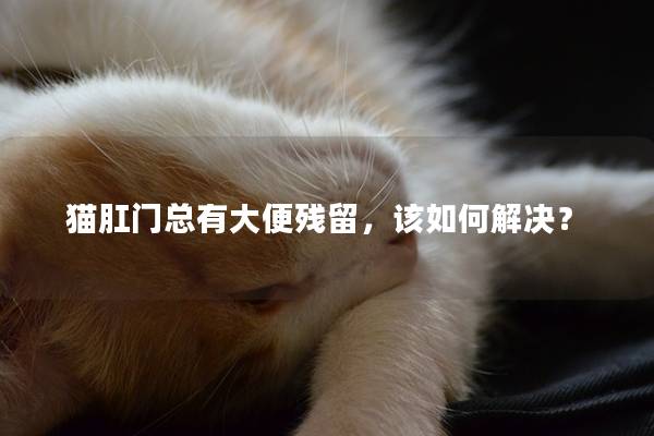 猫肛门总有大便残留，该如何解决？