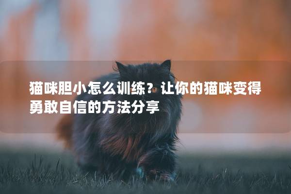 猫咪胆小怎么训练？让你的猫咪变得勇敢自信的方法分享