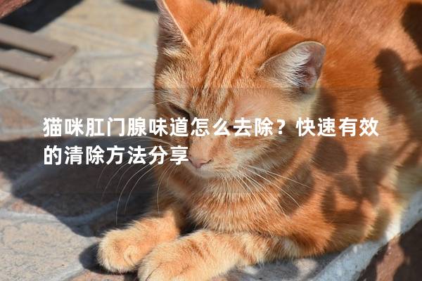 猫咪肛门腺味道怎么去除？快速有效的清除方法分享